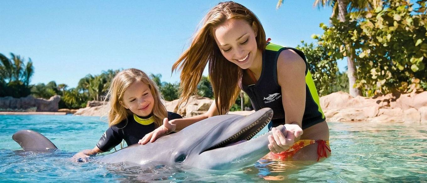 Невероятные дельфины: 10 удивительных фактов