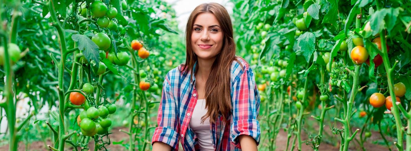 Подарочные сертификаты и Подарочные сертификаты на День работников сельского хозяйства