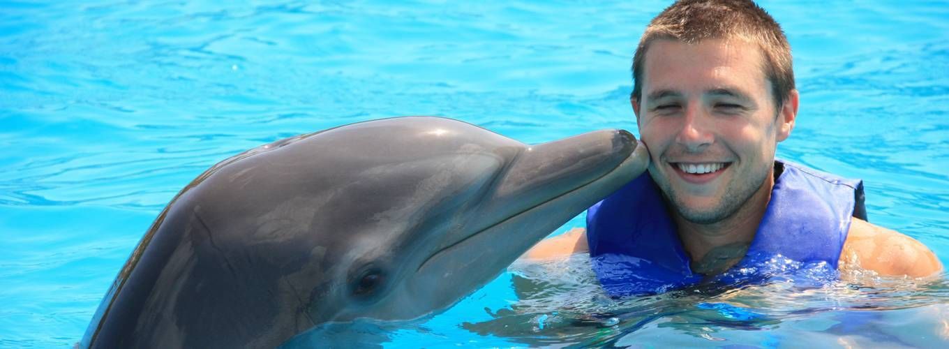 Водное представление с дельфинами и морскими млекопитающими «Единая планета»