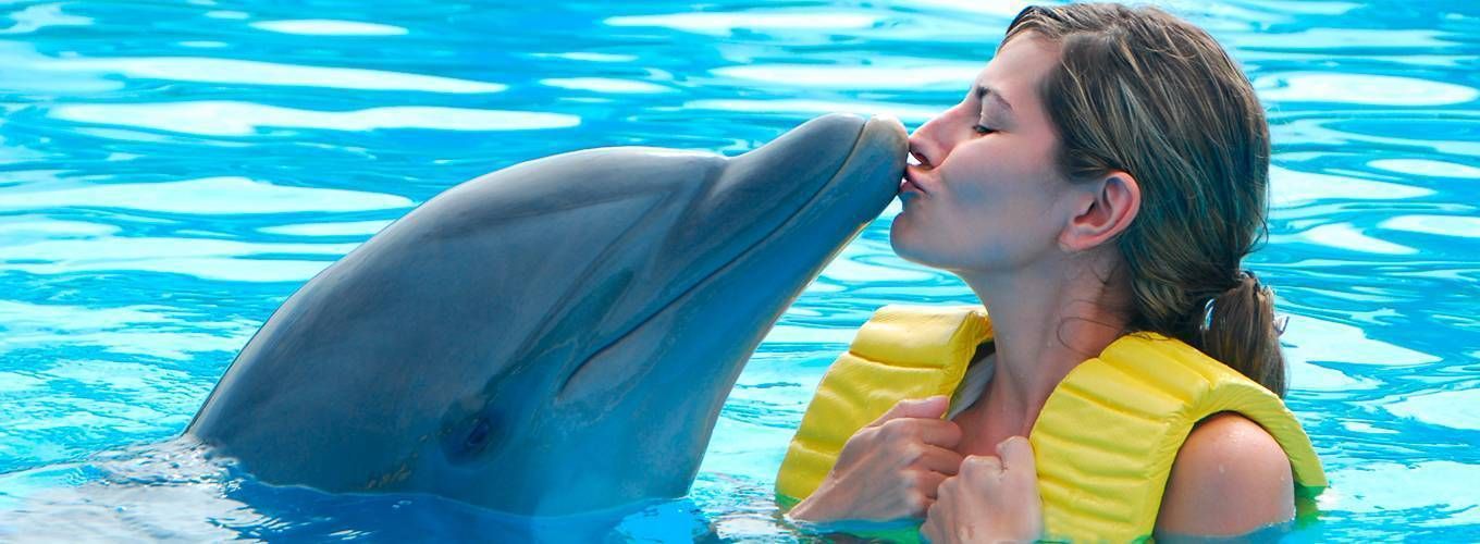 Плавание с дельфином и фото на память