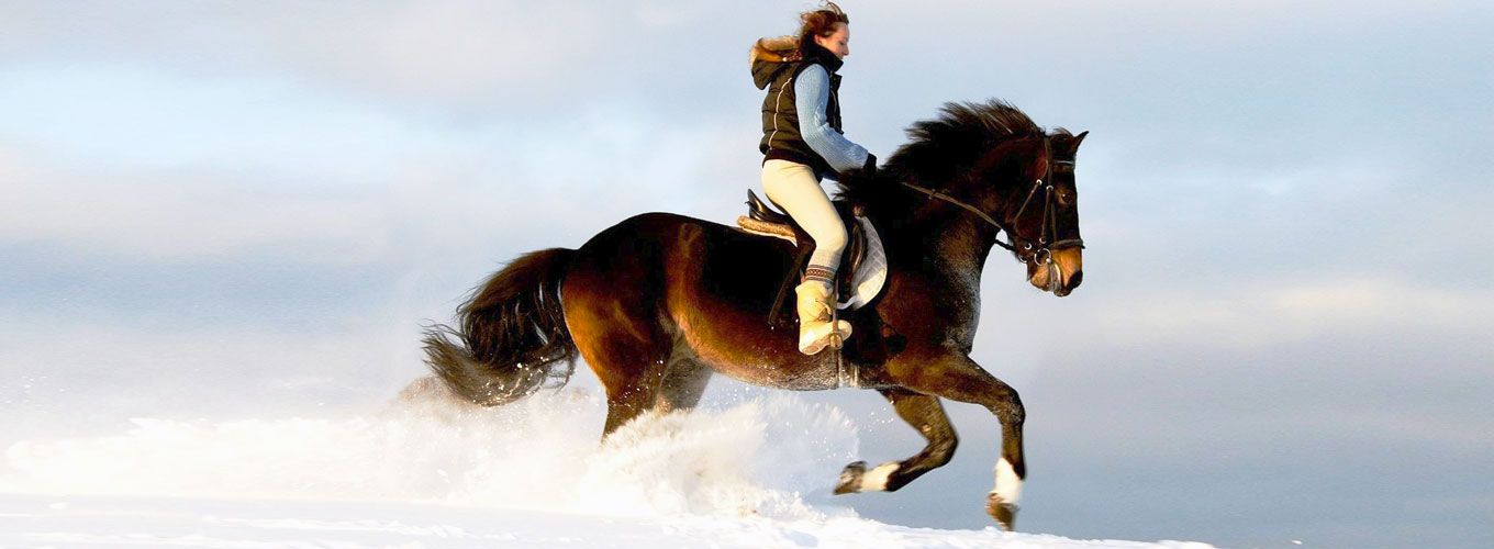 Прогулка на лошадях: яркие эмоции и впечатления гарантированы
