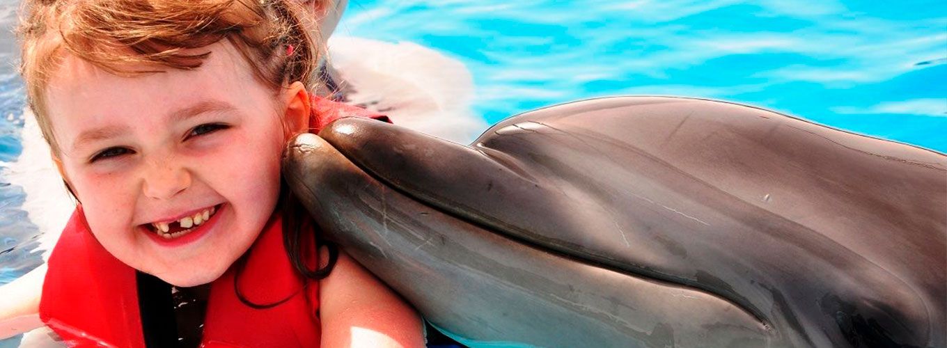 День рождения ребенка в дельфинарии