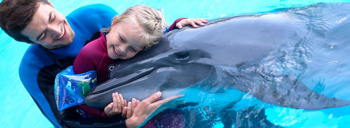 Интерактивное общение с дельфинами для детей и взрослых