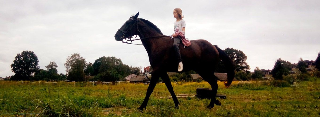 Прогулки на лошадях по живописным местам и обучение верховой езде