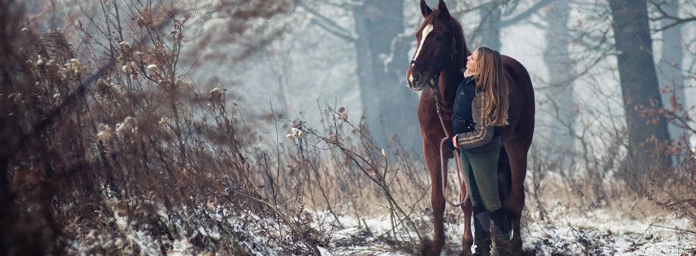 Прогулка на лошадях в Прилепском заповеднике