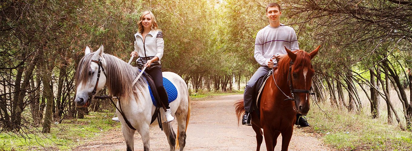 Прогулка на лошадях в Дудинках – живописном месте недалеко от Минска