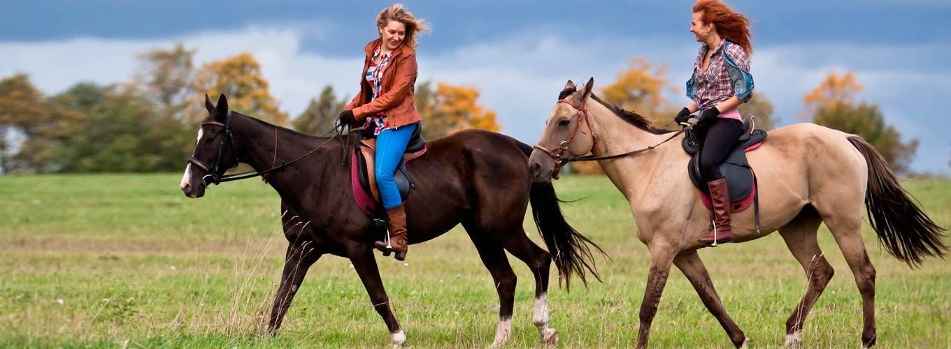 Устройте себе славный уикенд — прокатитесь на лошадях с друзьями