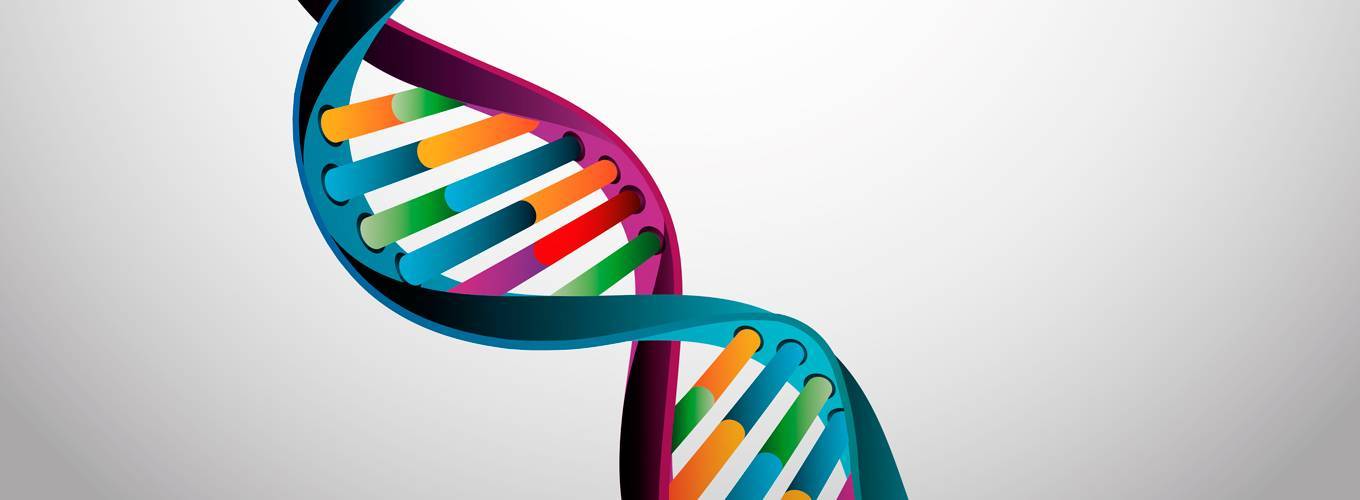 Test-dnk — генетический анализ способностей